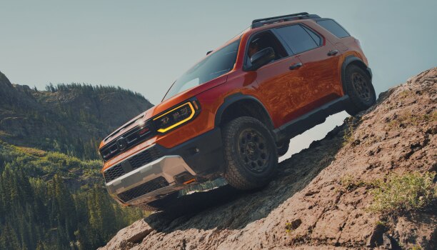 Front-view of an orange Passport descending a hill.