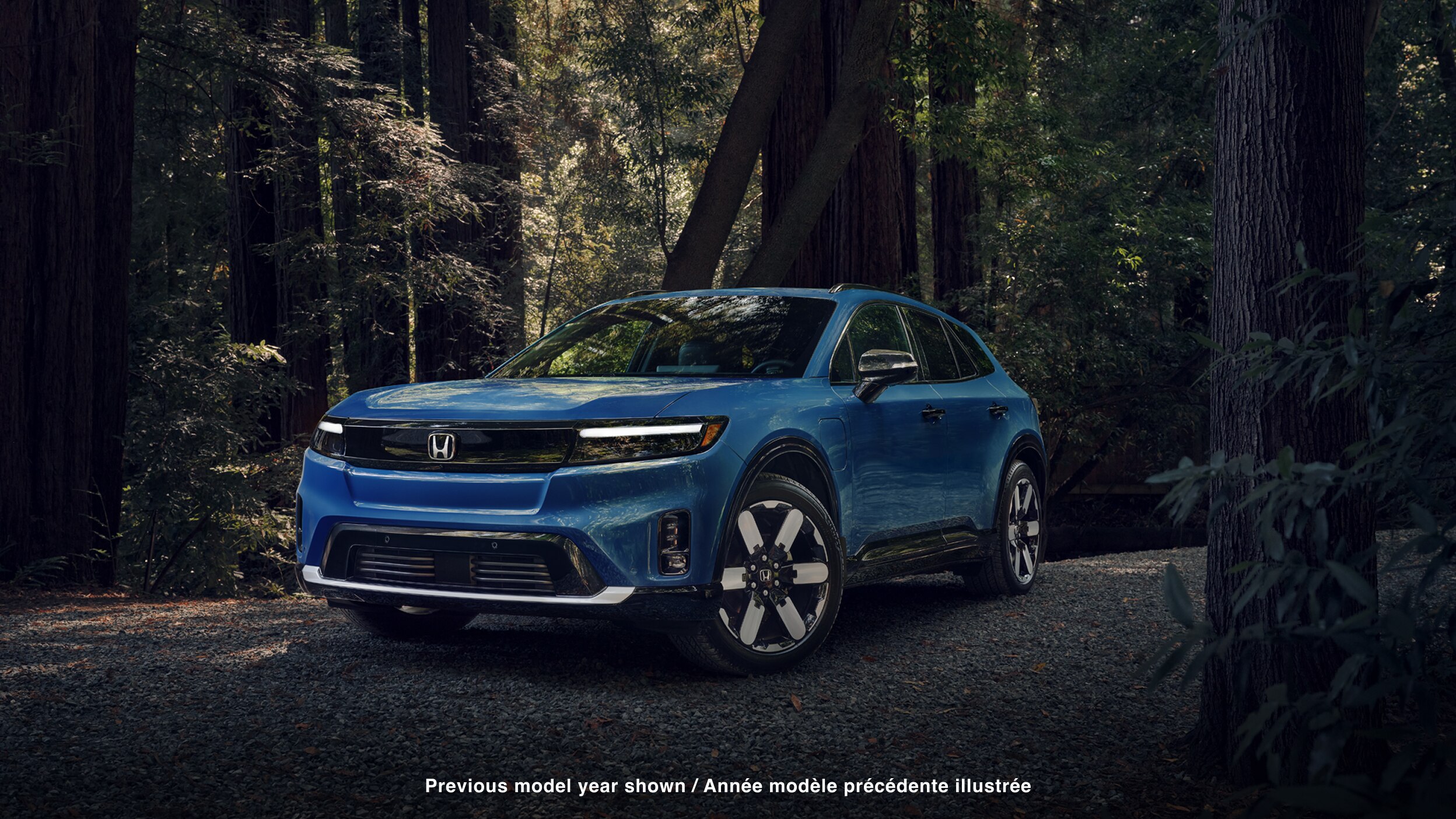 3/4 front view of a blue Prologue parked in a temperate forest. 